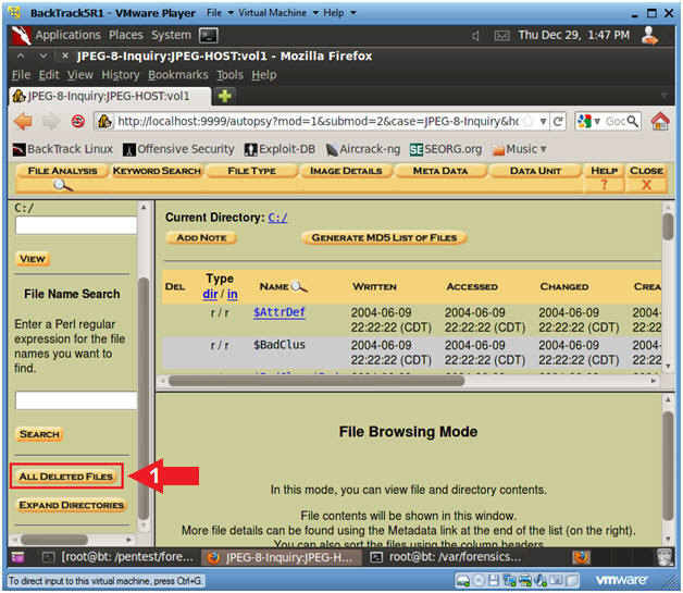 - OX BackTrack5R1 - VMware Player File Virtual Machine Help Applications Places System Thu Dec 29, 1:47 PM * JPEG-8-Inquiry:J