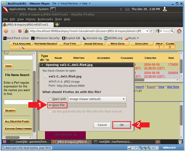 BackTrackSRI - VMware Player File - Virtual Machine Help -OX Applications Places System Thu Dec 29, 2:26 PM * JPEG-8-Inquiry: