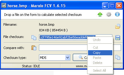 checksum generate tool checksum.ini