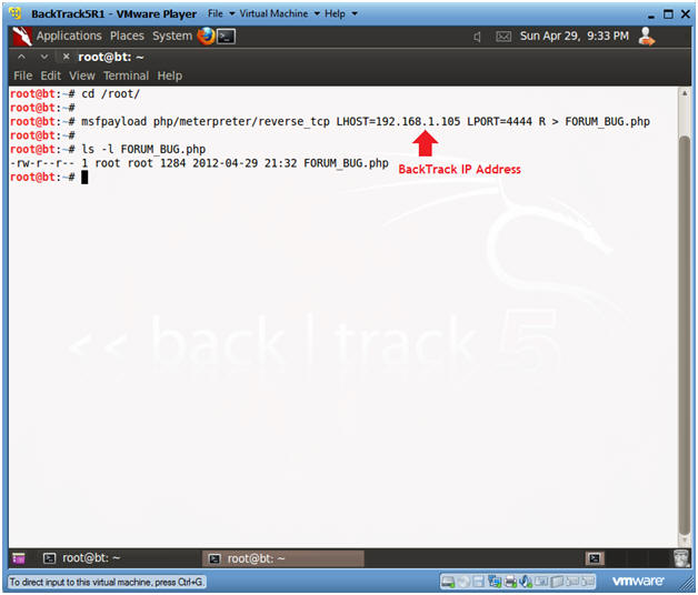 XSS Refletido Payload - DVWA 