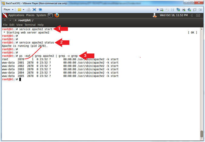 Neuron, Strong Level 6/7 FREE Exploit, Executes most scripts, Multi API ( WeAreDevs, Bloxsploits, Axon)