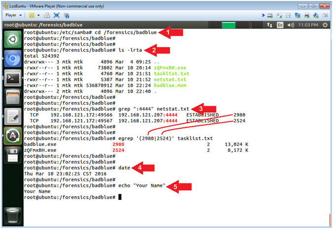 bash-nb/data/cryptids/Mokele-Mbembe.txt at master · yhat/bash-nb · GitHub